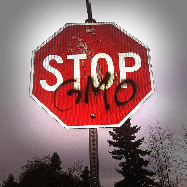 GMO - zagrożenie czy przyszłość